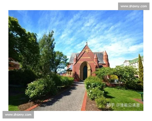 4 岁短途马 “构想所在” 退役,英联邦杯冠军生涯落幕 4 岁短途马 “构想所在” 退役,英联邦杯冠军生涯落幕